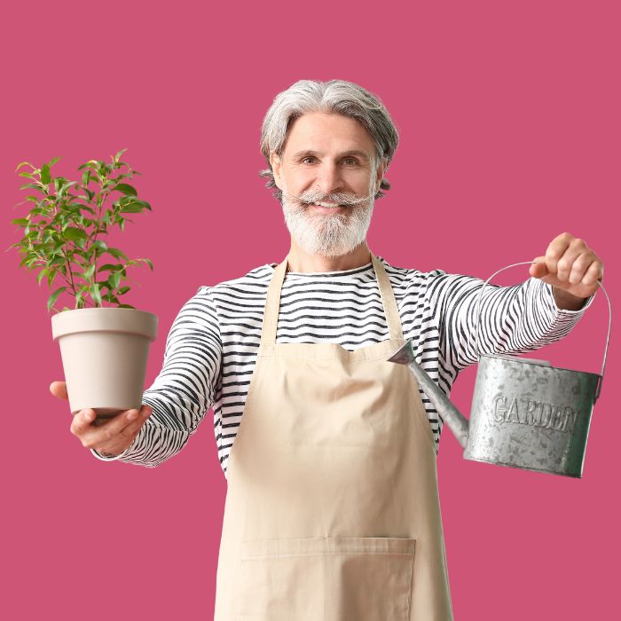 Casa & Hobby: Ispirazioni, Guide e Curiosità - Popknow